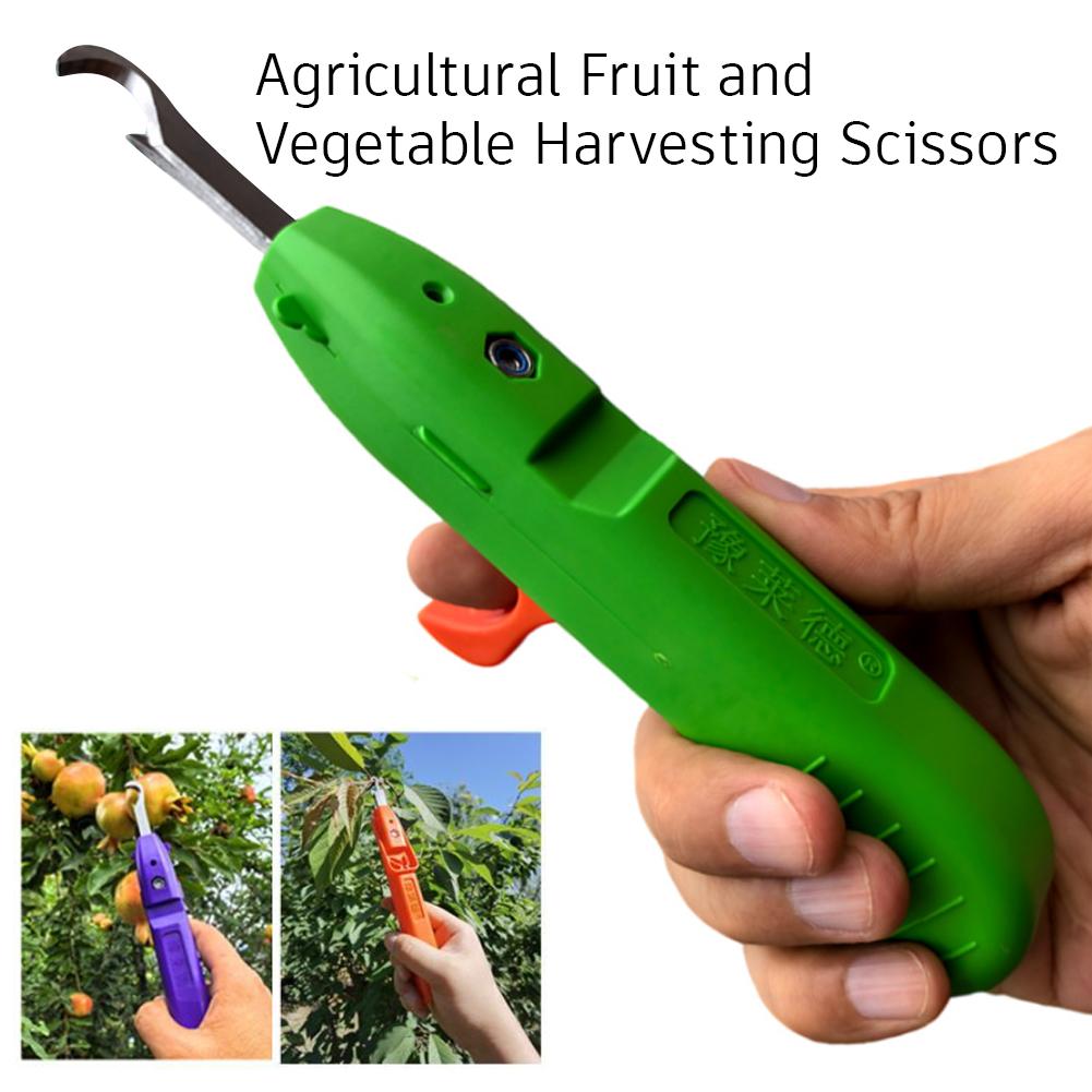 Pruning Shears for Gardening A - đánh giá và giá Gardening Tools Scissors