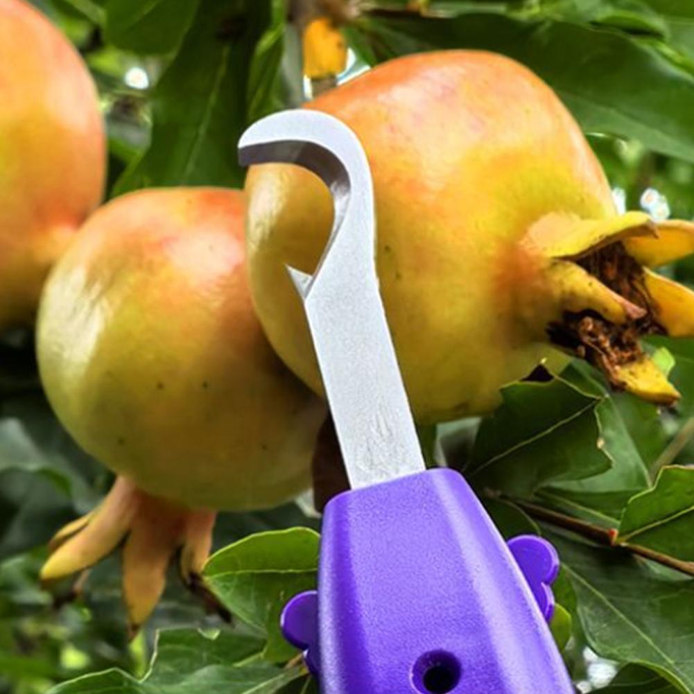 Pruning Shears for Gardening A - đánh giá và giá Gardening Tools Scissors