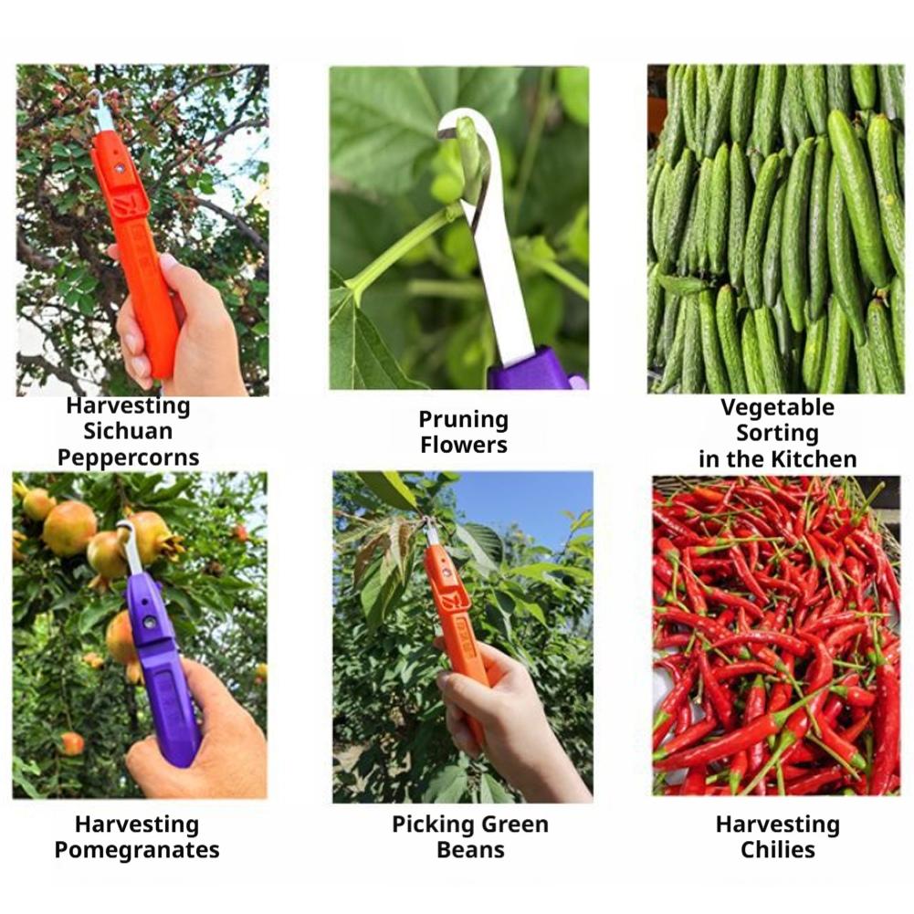 Pruning Shears for Gardening A - đánh giá và giá Gardening Tools Scissors