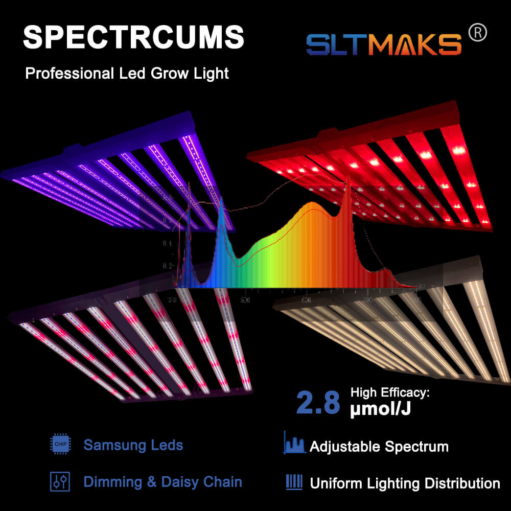 US Stock PPFD 2800 Umol/S Led  - đánh giá và giá Led Grow Light
