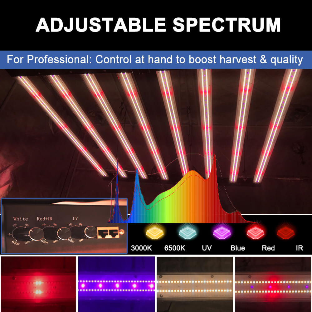 US Stock PPFD 2800 Umol/S Led  - đánh giá và giá Led Grow Light