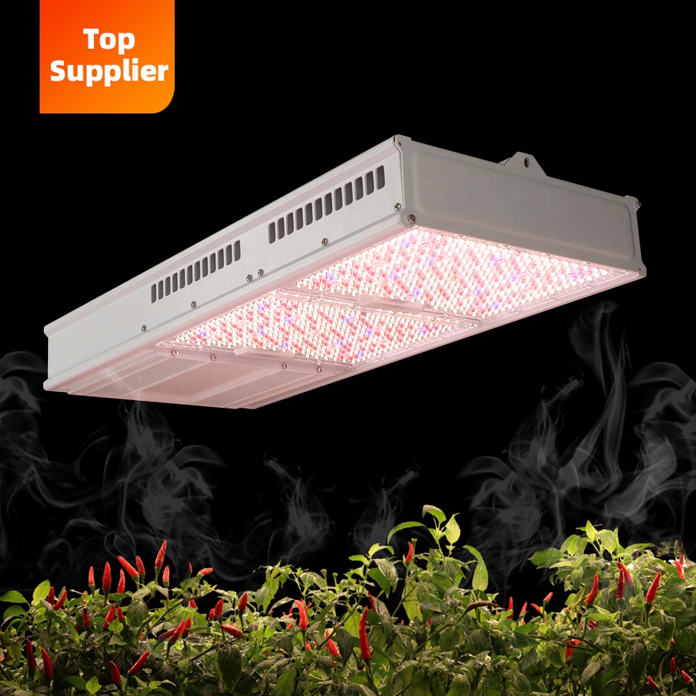 Cost-Effective 600W 800W Topli - đánh giá và giá Led Grow Light