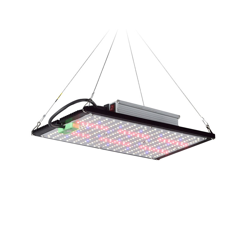 LED Quantum‑Board Grow Light F - đánh giá và giá Led Grow Light