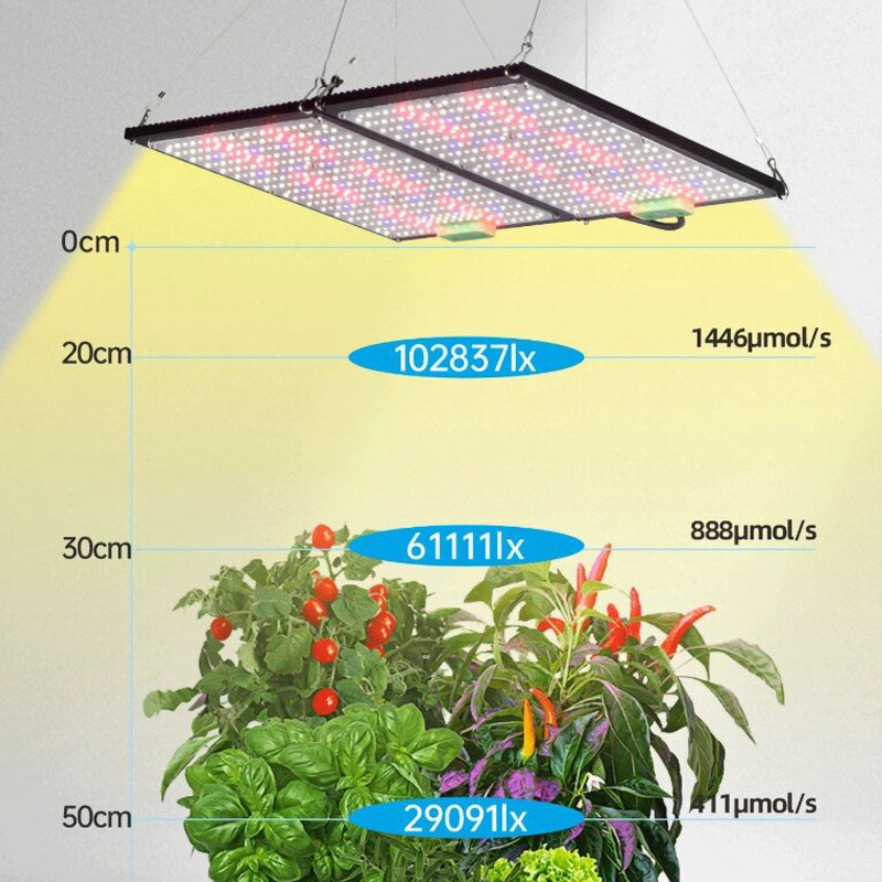 LED Quantum‑Board Grow Light F - đánh giá và giá Led Grow Light