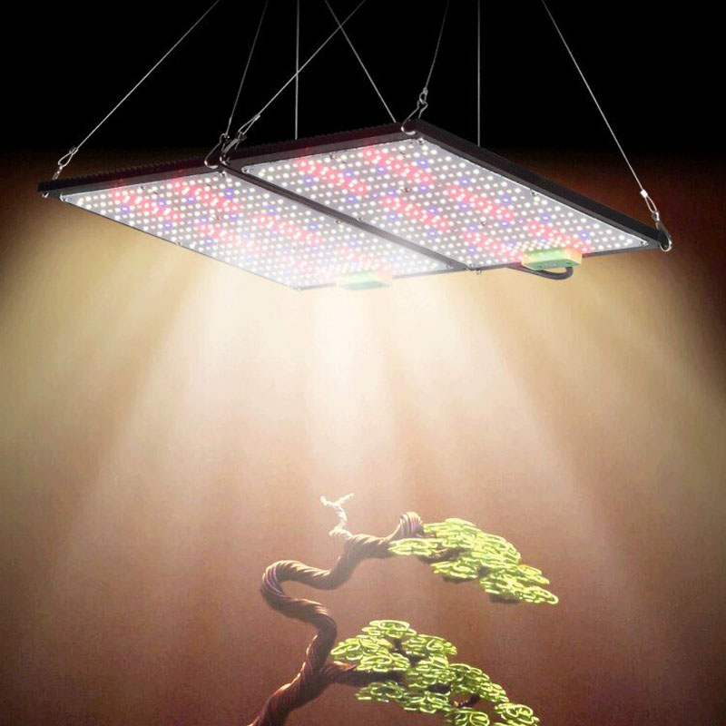 LED Quantum‑Board Grow Light F - đánh giá và giá Led Grow Light