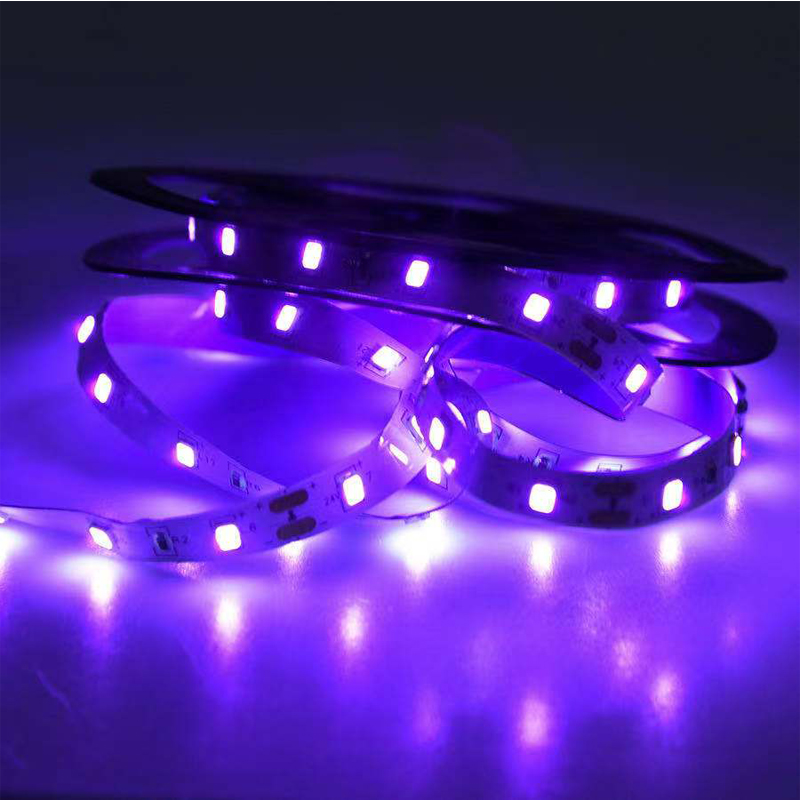 UV LED Ultraviolet Light, Blac - đánh giá và giá Led Grow Light