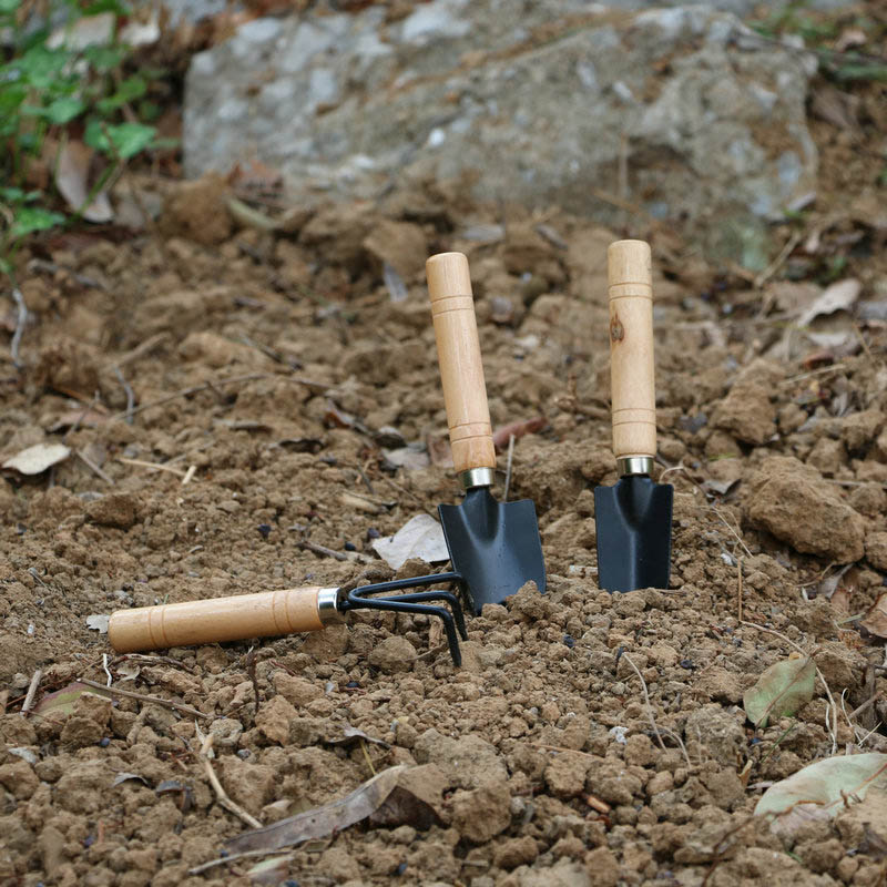 3Pcs/Set Mini Garden Tool Set  - đánh giá và giá Gardening Tools For Weeds