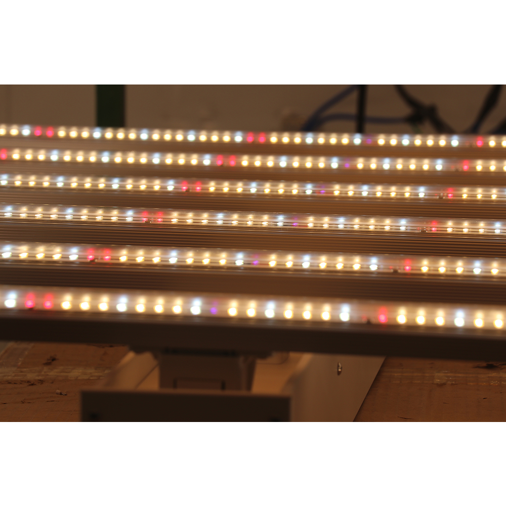 2023 Drop-shipping Factory Dir - đánh giá và giá Led Grow Light
