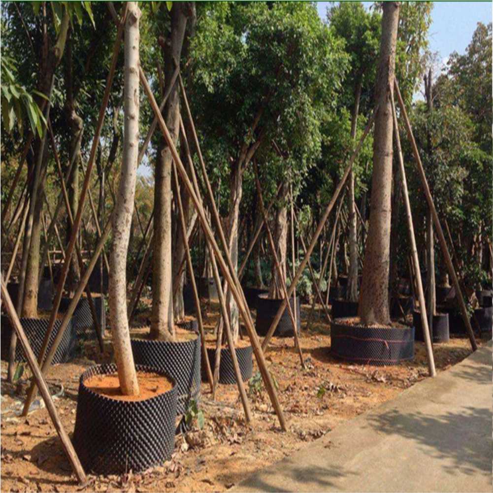 Grow Container Garden Tree Bon - đánh giá và giá Gardening Tools In