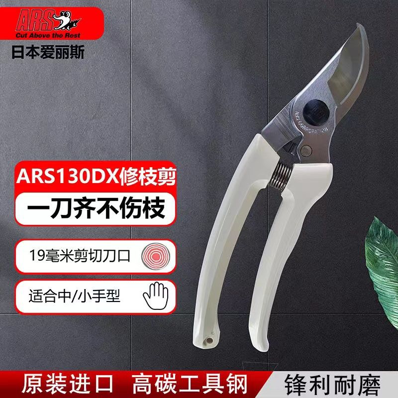 Pruning scissors, garden tools - đánh giá và giá Gardening Tools Japan