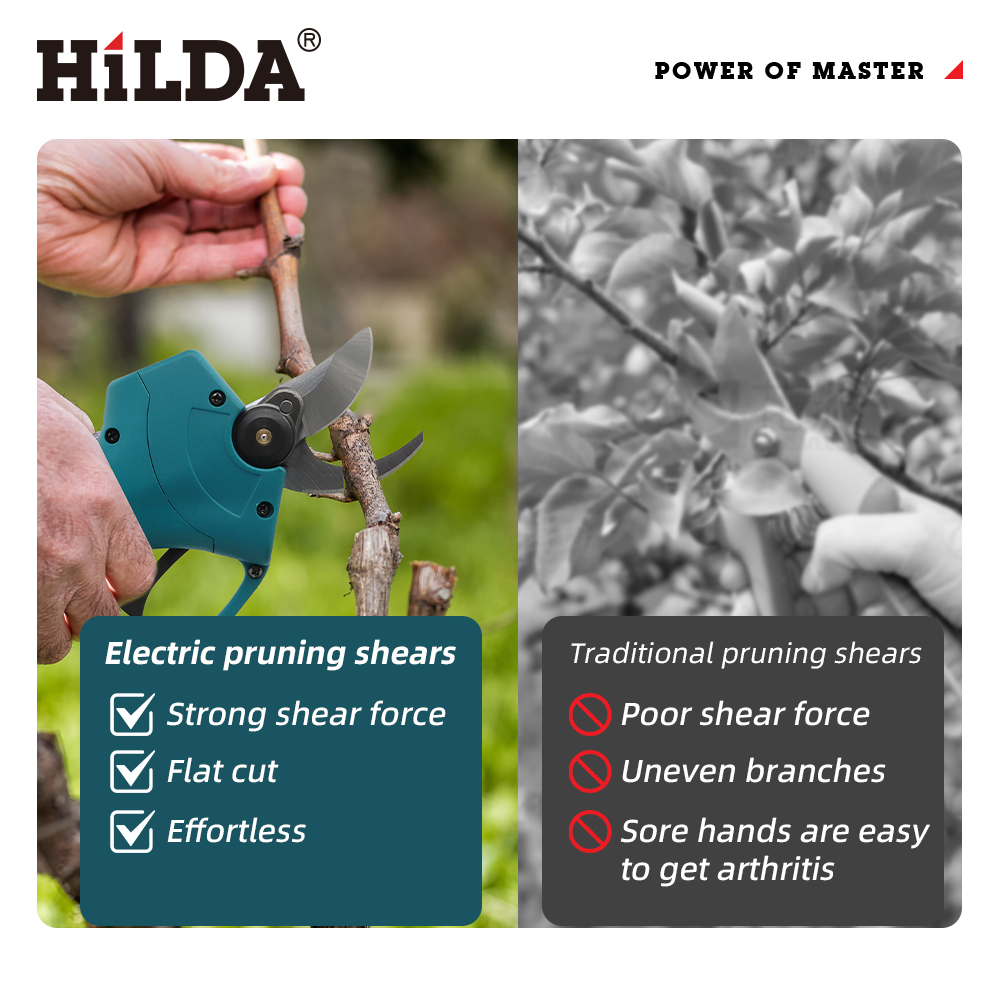 HILDA 18V Brushless Cordless E - đánh giá và giá Gardening Tools Scissors