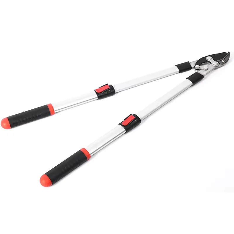 Long Pruner Branch Stretchable - đánh giá và giá Gardening Tools Scissors