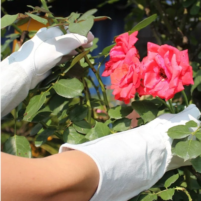 A Pair of Garden Gloves Thorn  - đánh giá và giá Garden Gloves Thorn Proof