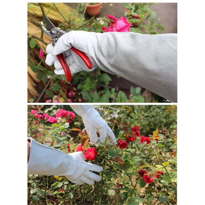 A Pair of Garden Gloves Thorn  - đánh giá và giá Garden Gloves Thorn Proof