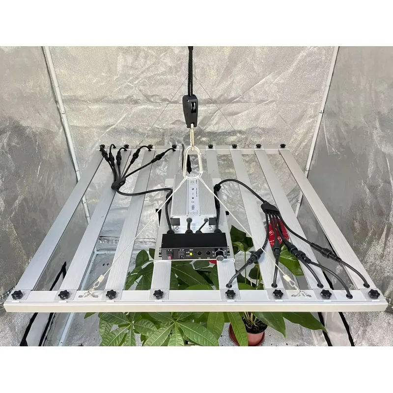 600W Grow Light Driver Inventr - đánh giá và giá Led Grow Light