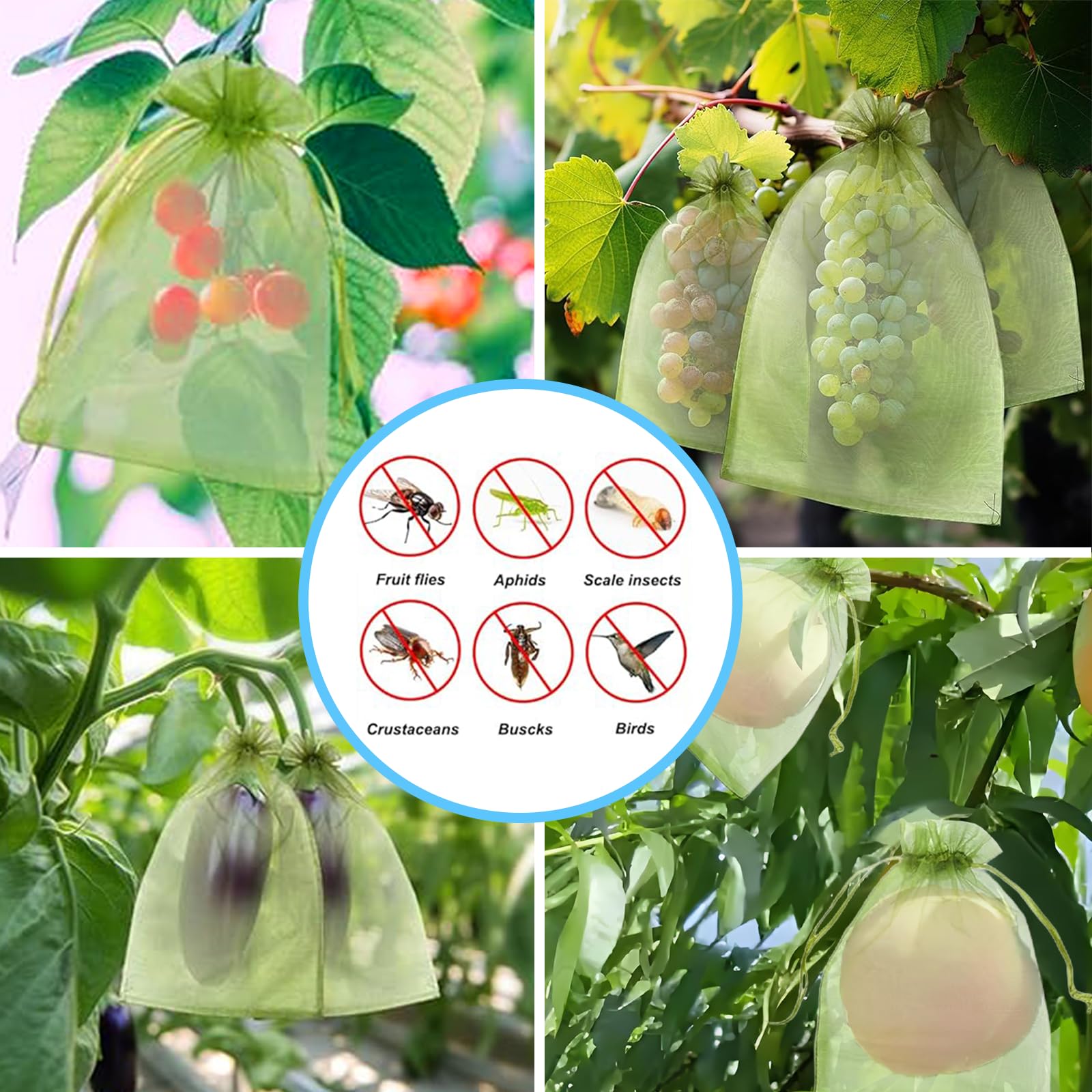Effective Anti-Bird Netting Fr - đánh giá và giá Outdoor Planting Bag