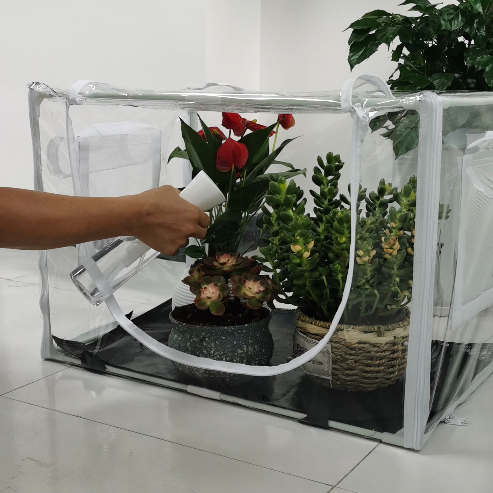 Compact Indoor/Outdoor Greenho - đánh giá và giá Outdoor Planting Bag
