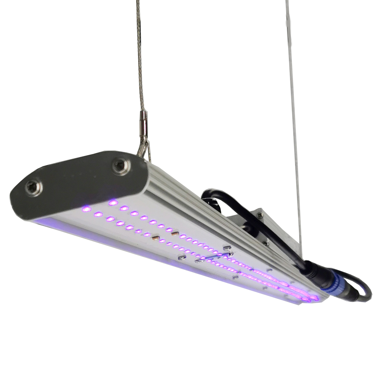 DANSE LED Manual Dimmer LED Gr - đánh giá và giá Led Grow Light