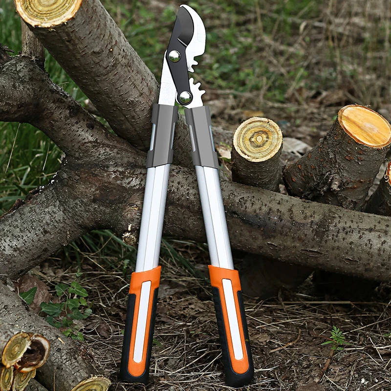 Long Length Scissor Hedge Anvi - đánh giá và giá Gardening Tools German