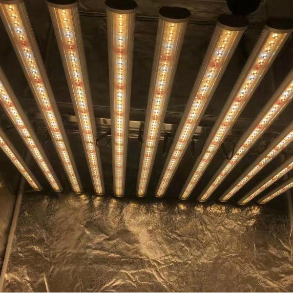 LUX China Factory Led Plant Li - đánh giá và giá Led Grow Light