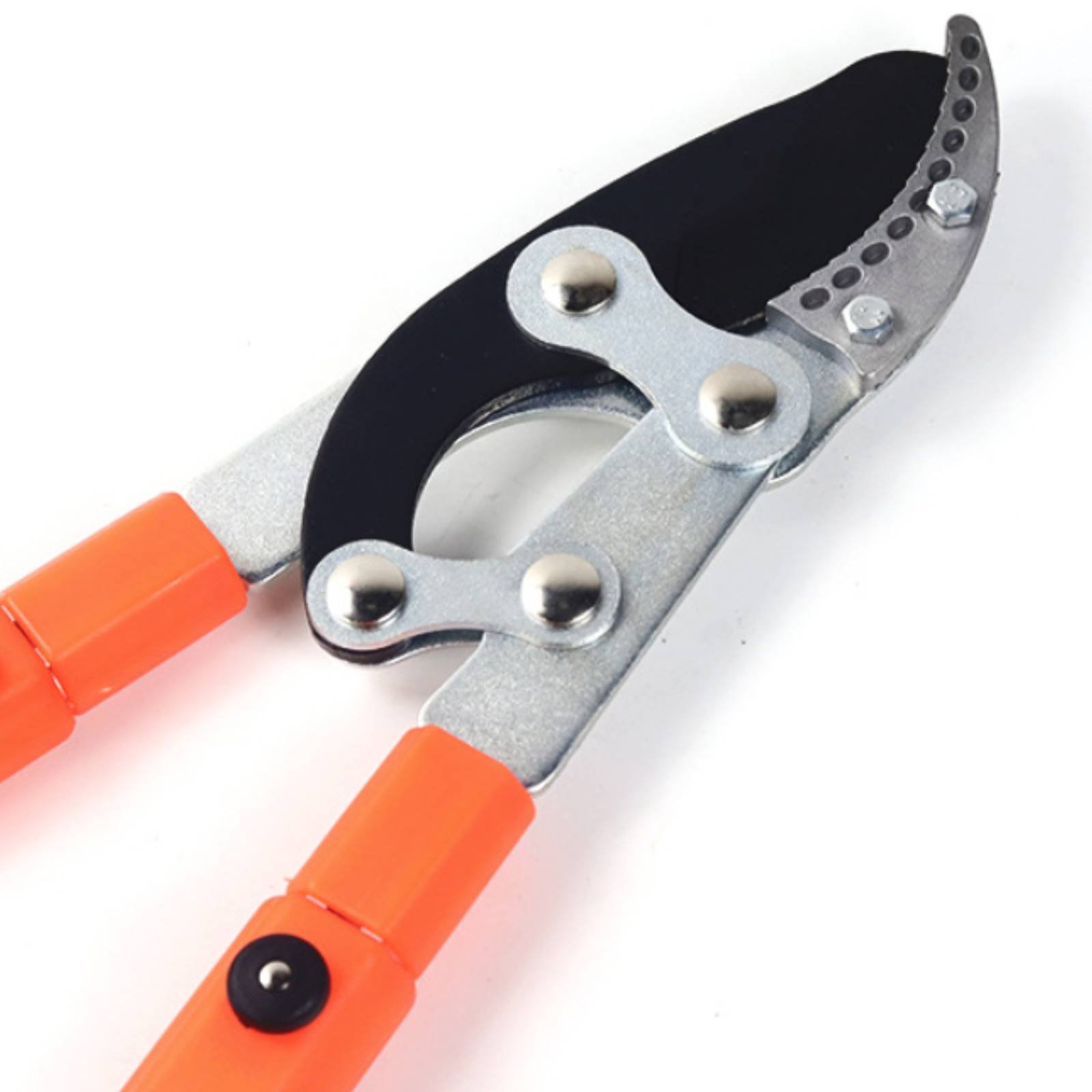 Telescopic Branch Pruners Shar - đánh giá và giá Gardening Tools In