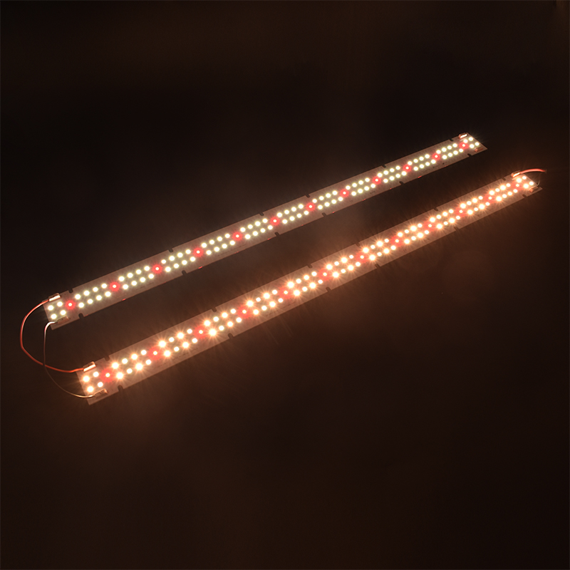 High Quality IP55 Rated COB LE - đánh giá và giá Led Grow Light