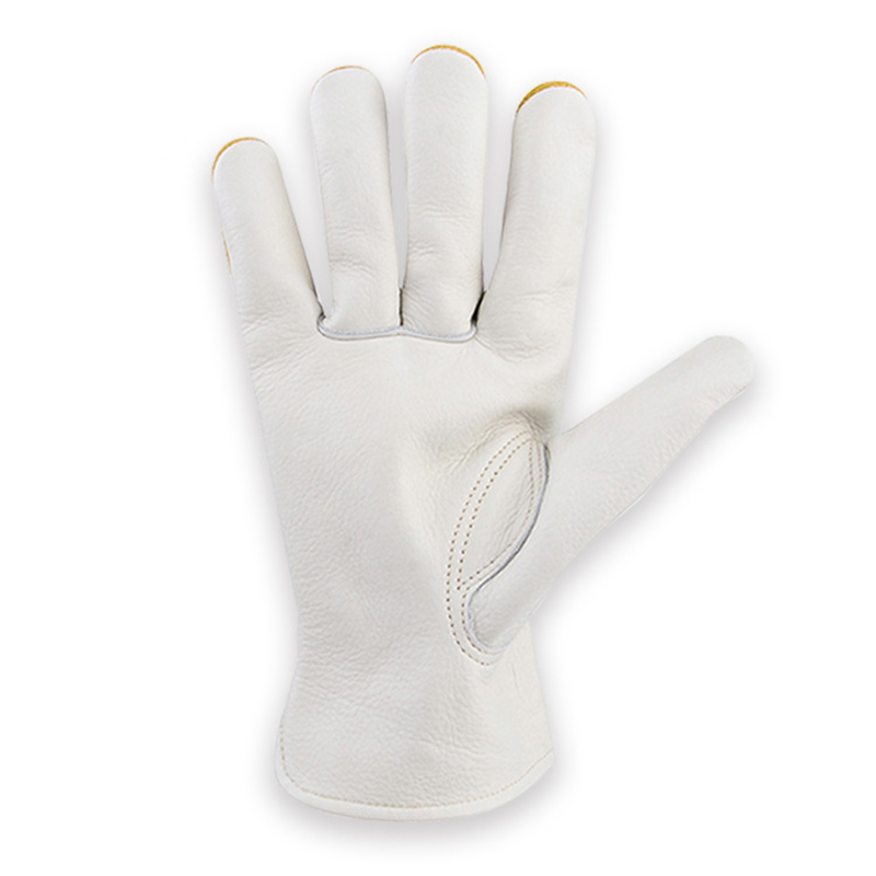Da An Toàn Công Việc Găng Tay  - đánh giá và giá Garden Gloves Thorn Proof