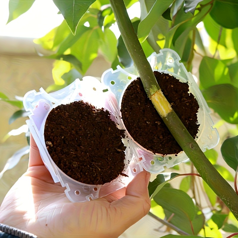 10Pcs High Pressure Plant Root - đánh giá và giá Gardening Tools Box