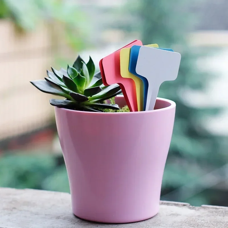 20 Pcs Plastic Waterproof Plan - đánh giá và giá Gardening Tools With Names