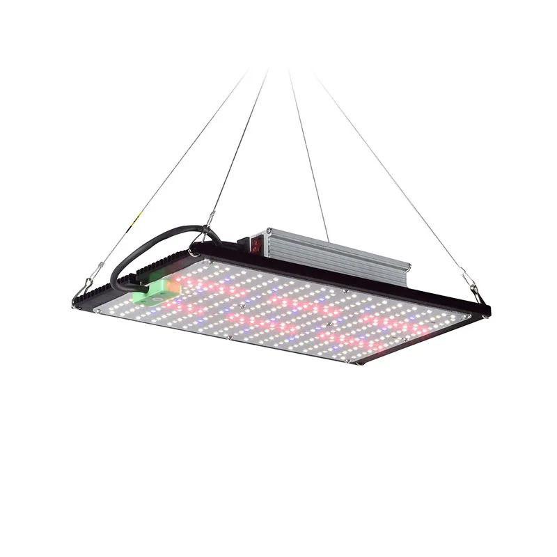 LED Quantum‑Board Grow Light F - đánh giá và giá Led Grow Light