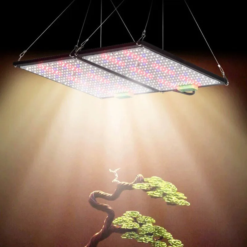 LED Quantum‑Board Grow Light F - đánh giá và giá Led Grow Light