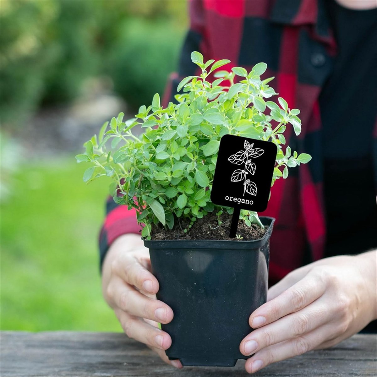 AA14 24Pcs Acrylic Plant Label - đánh giá và giá Gardening Tools With Names