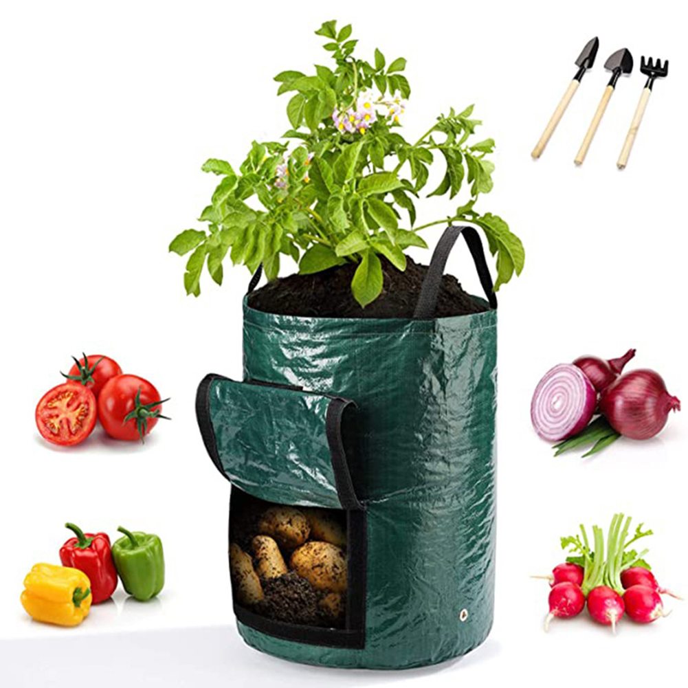 1pc 10-Gallon Grow Bags For Ve - đánh giá và giá Outdoor Planting Bag